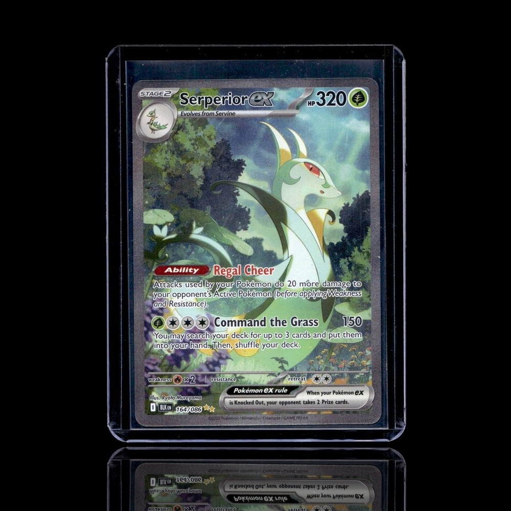 A pulled Epic card
