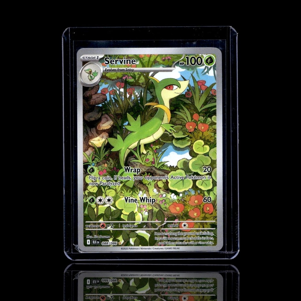 A pulled Epic card
